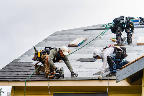 Professional Roofing technician working in Buckholts, TX
